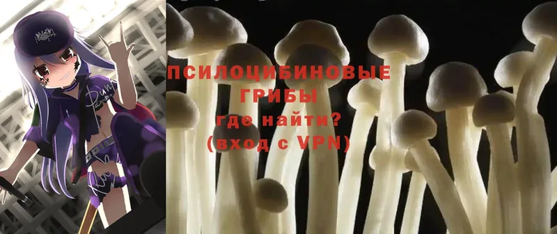 Галлюциногенные грибы Psilocybine cubensis Бахчисарай